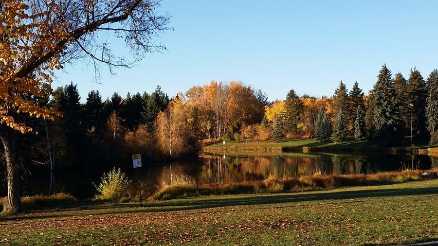 Pique-nique chill — Mill Creek Ravine