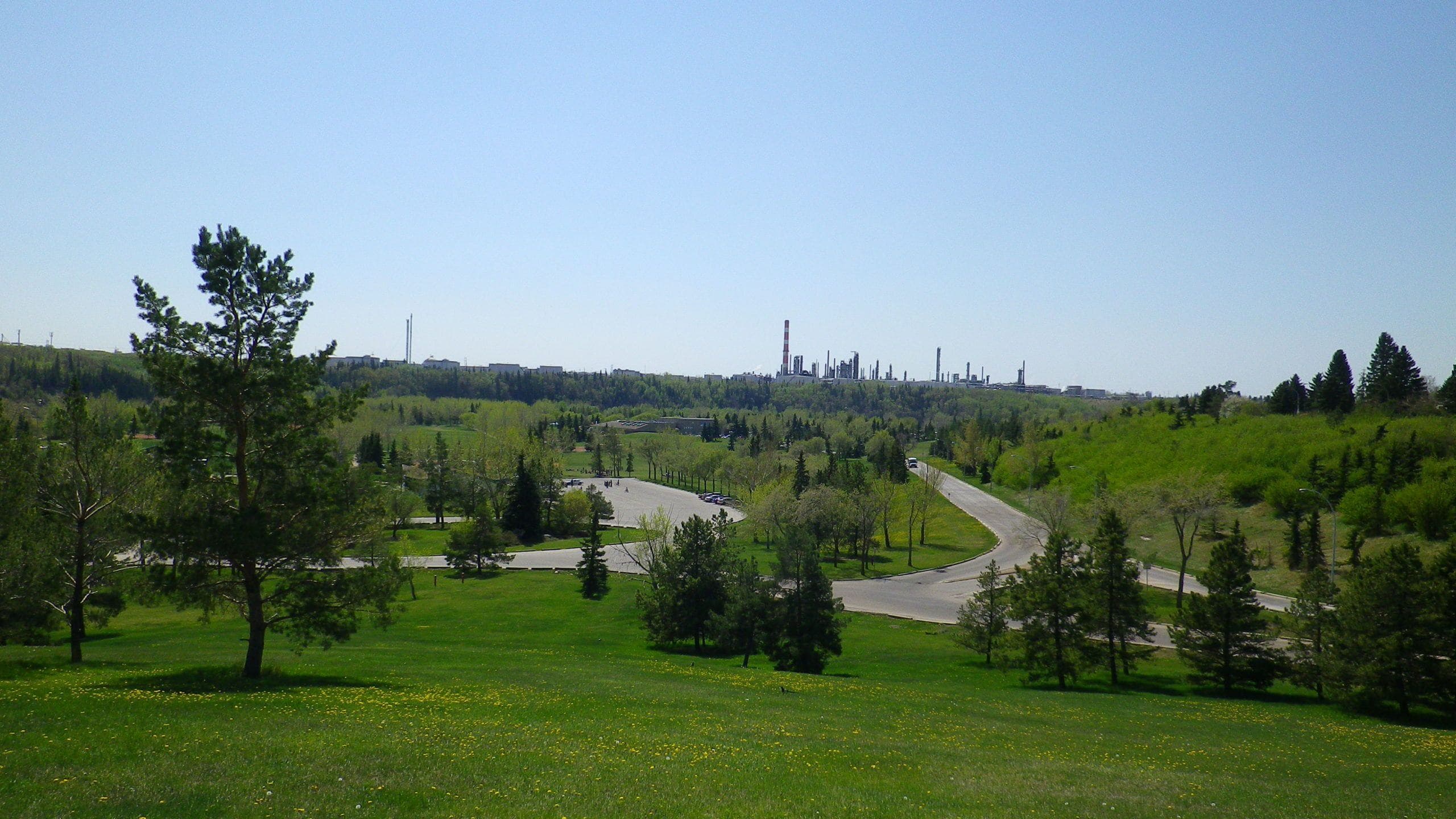 Pique-nique grand groupe — Rundle Park